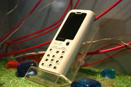 5號館聯想產品秀 2005年中國國際通信設備技術展的機械設備租賃亮點